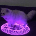 argui